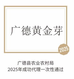广德黄金芽