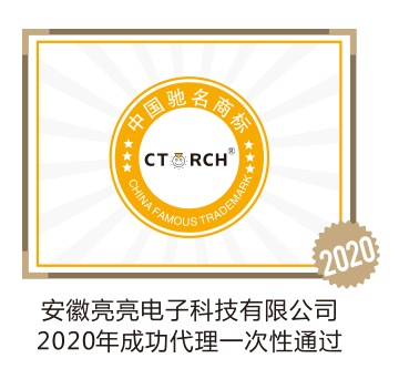 安徽亮亮电子科技有限公司